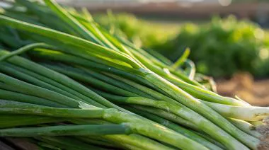 garnishing-instructions-image